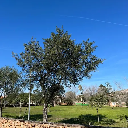 Σπίτι διακοπών La Maison Tamerici San Teodoro (Sardinia)